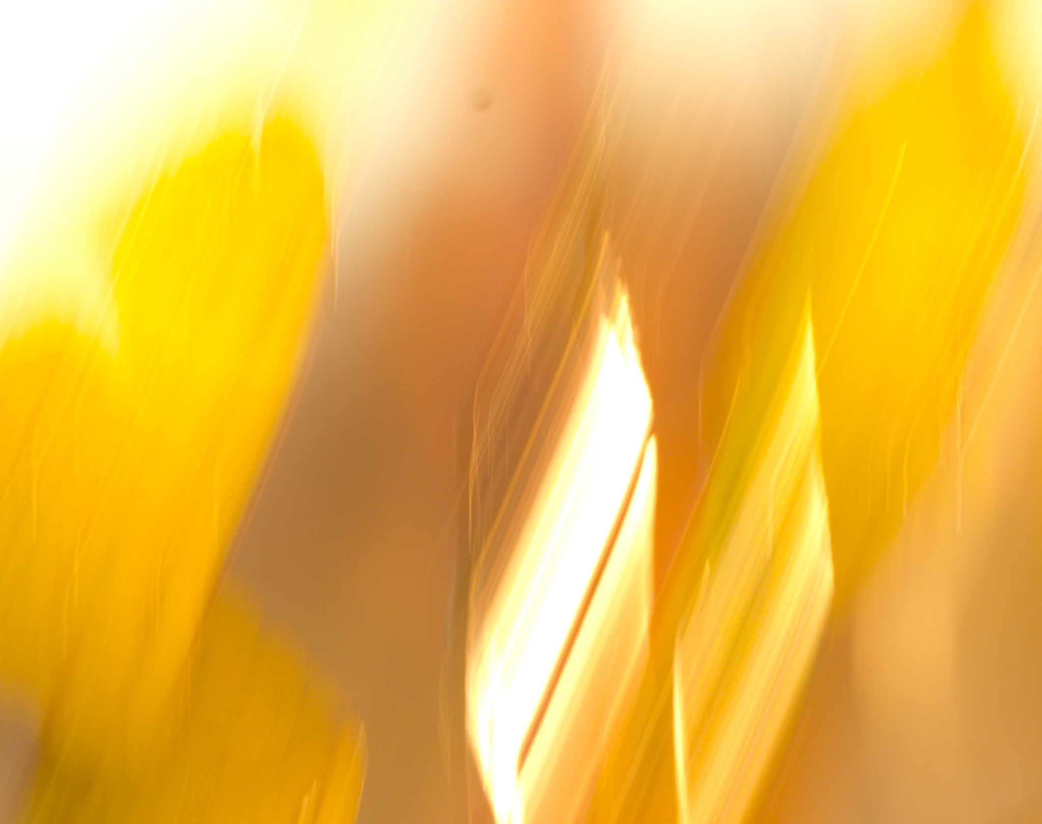 Vegetation blur 1